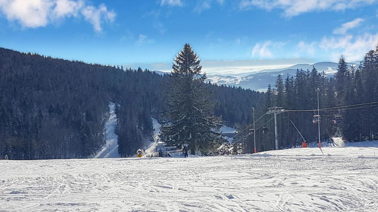 Chalex Villa Aigen im Mühlkreis Kültér fotó